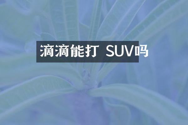 滴滴能打 SUV吗