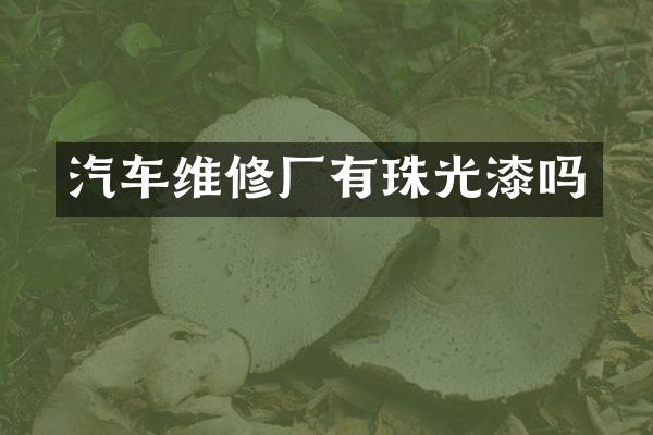 汽车维修厂有珠光漆吗