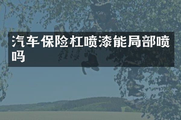 汽车保险杠喷漆能局部喷吗