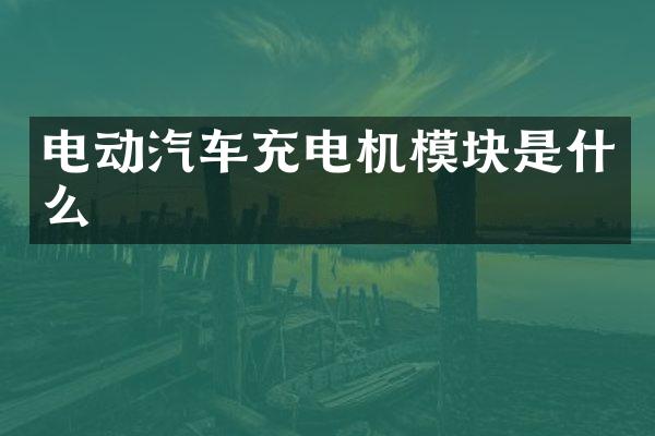 电动汽车充电机模块是什么