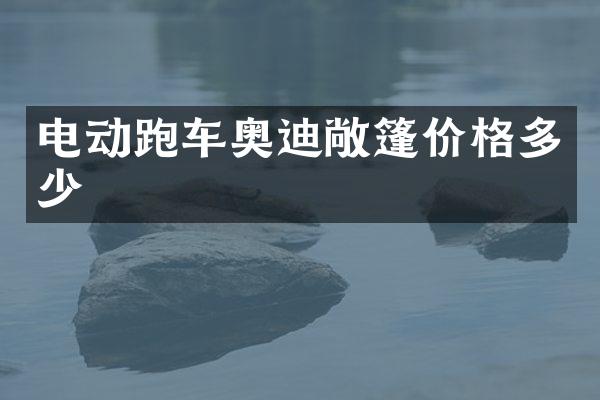 电动跑车奥迪敞篷价格多少