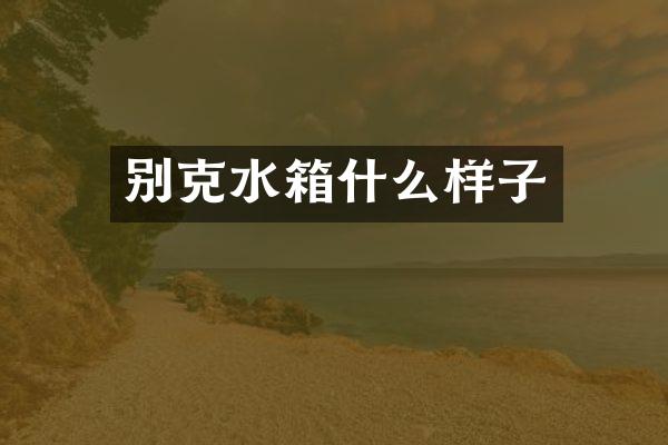 别克水箱什么样子