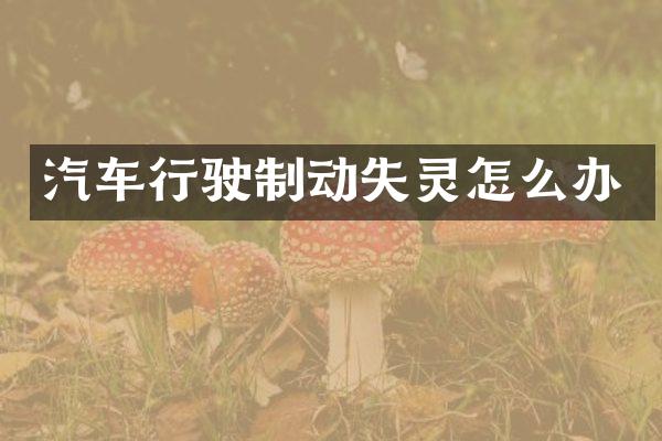 汽车行驶制动失灵怎么办