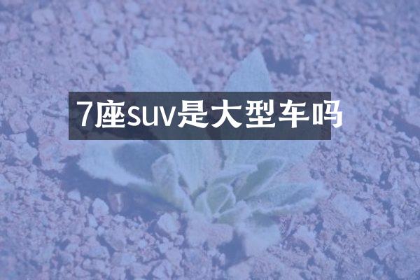 7座suv是大型车吗