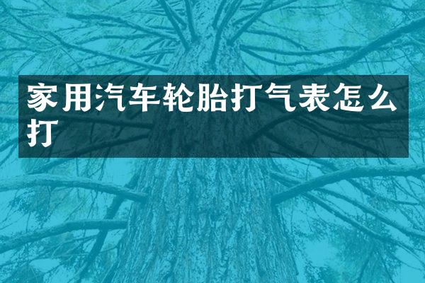 家用汽车轮胎打气表怎么打