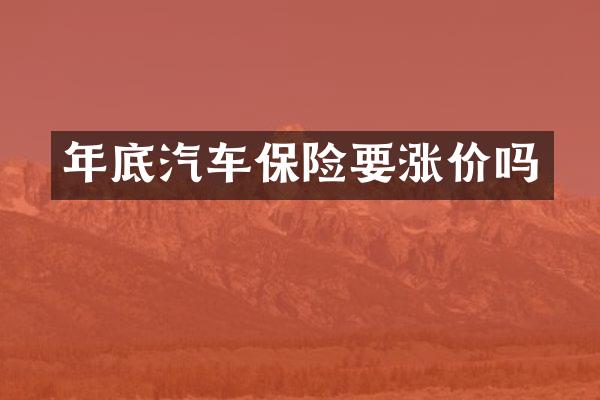 年底汽车保险要涨价吗