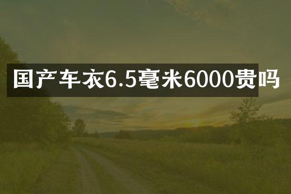 国产车衣6.5毫米6000贵吗