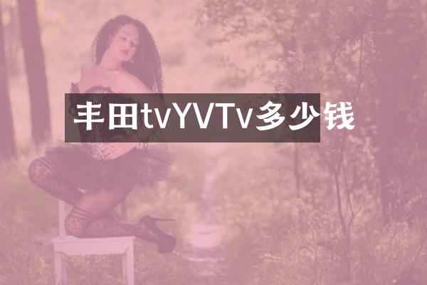 丰田tvYVTv多少钱