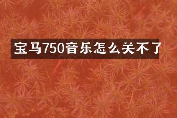 宝马750音乐怎么关不了