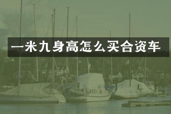 一米九身高怎么买合资车