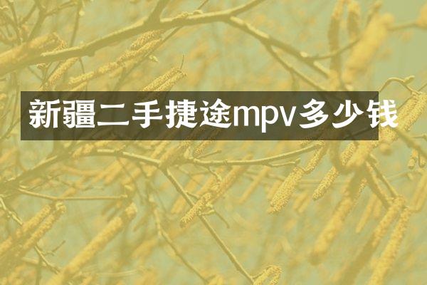 新疆二手捷途mpv多少钱
