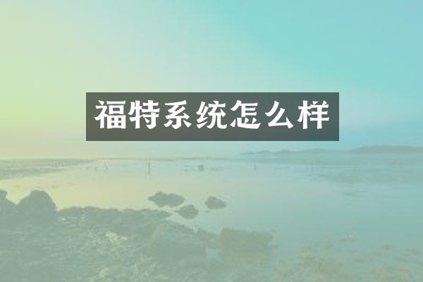 福特系统怎么样