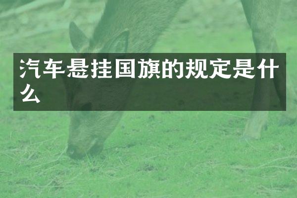 汽车悬挂国旗的规定是什么