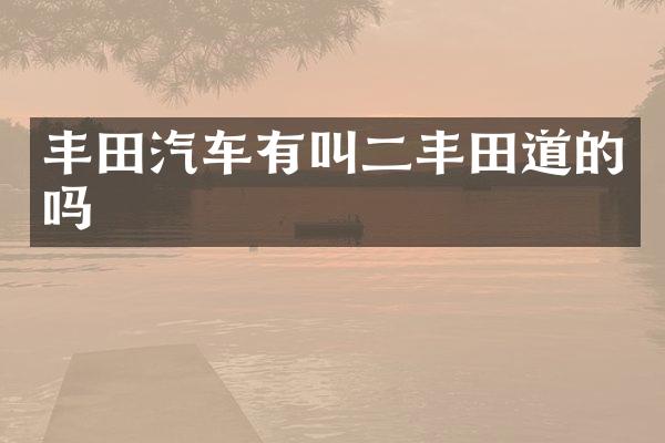 丰田汽车有叫二丰田道的吗