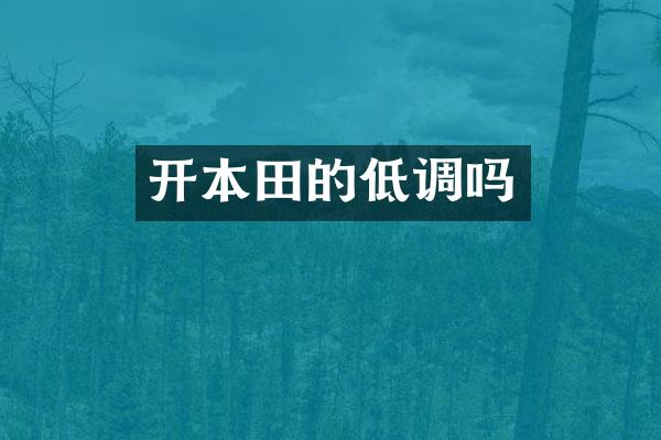开本田的低调吗