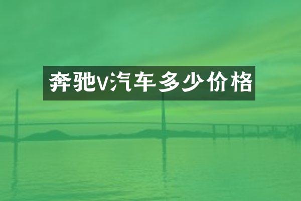 奔驰v汽车多少价格