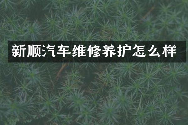新顺汽车维修养护怎么样