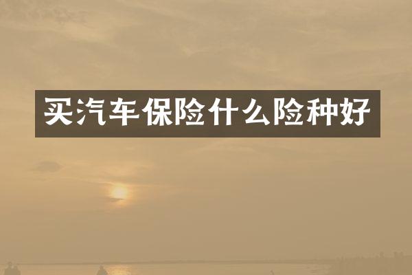 买汽车保险什么险种好