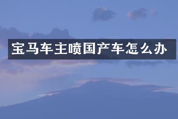 宝马车主喷国产车怎么办