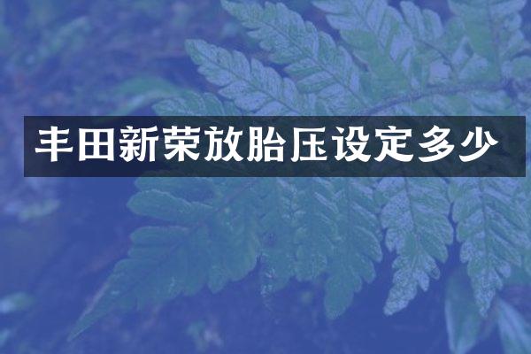 丰田新荣放胎压设定多少