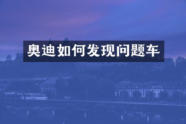 奥迪如何发现问题车