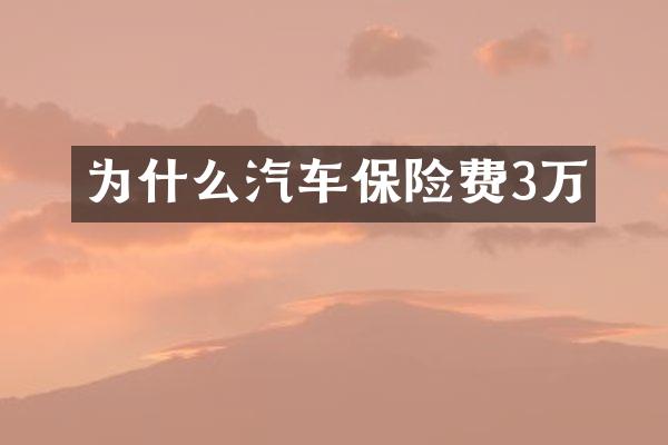 为什么汽车保险费3万