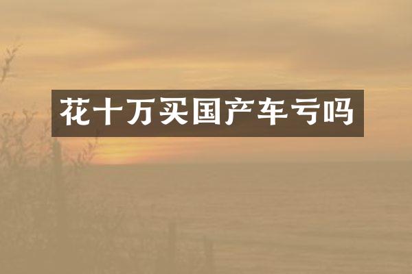 花十万买国产车亏吗