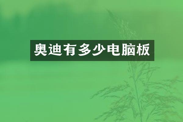 奥迪有多少电脑板