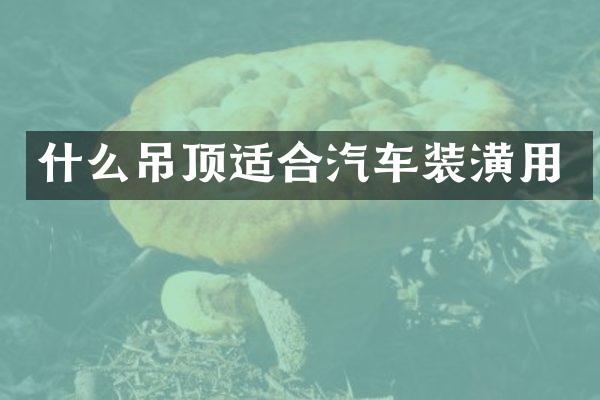 什么吊顶适合汽车装潢用