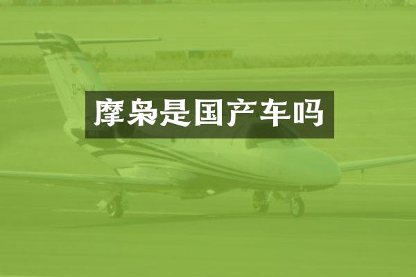 摩枭是国产车吗