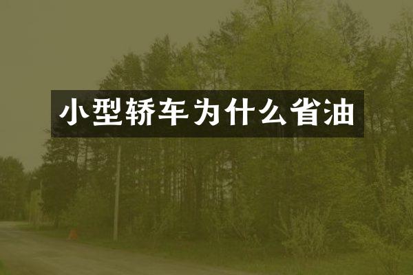 小型轿车为什么省油