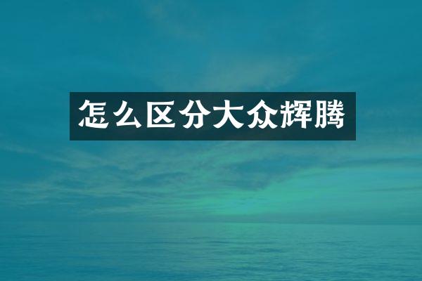 怎么区分大众辉腾