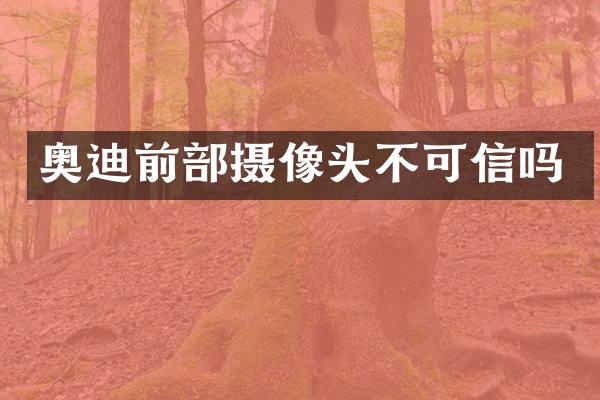 奥迪前部摄像头不可信吗