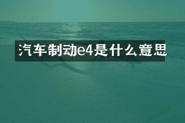 汽车制动e4是什么意思