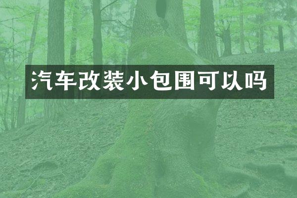 汽车改装小包围可以吗