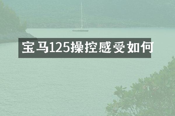 宝马125操控感受如何