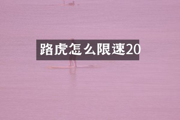 路虎怎么限速20