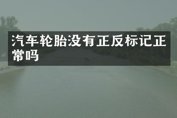 汽车轮胎没有正反标记正常吗