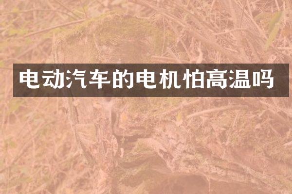 电动汽车的电机怕高温吗
