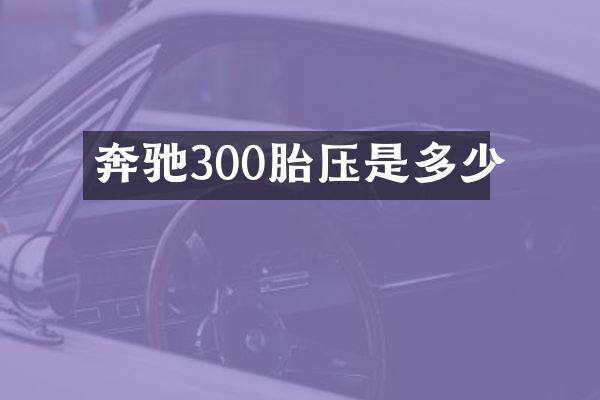奔驰300胎压是多少