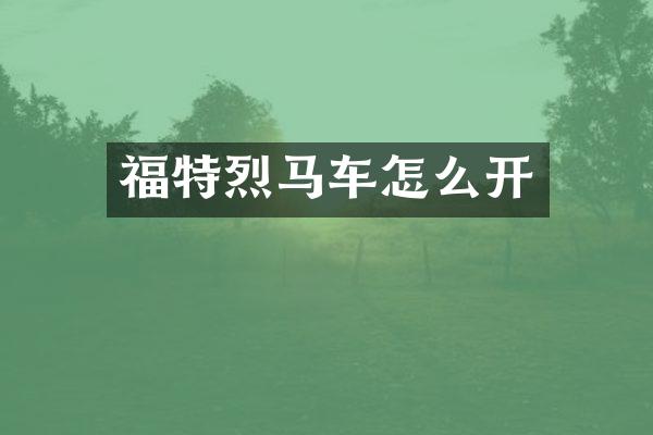 福特烈马车怎么开
