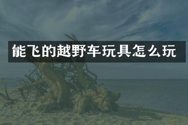 能飞的越野车玩具怎么玩
