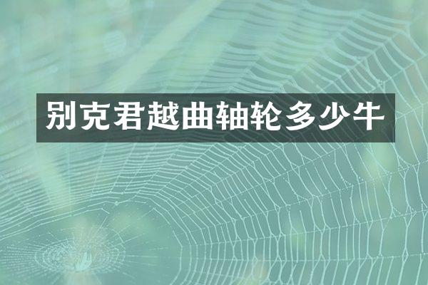 别克君越曲轴轮多少牛