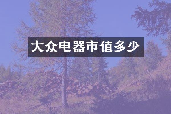 大众电器市值多少