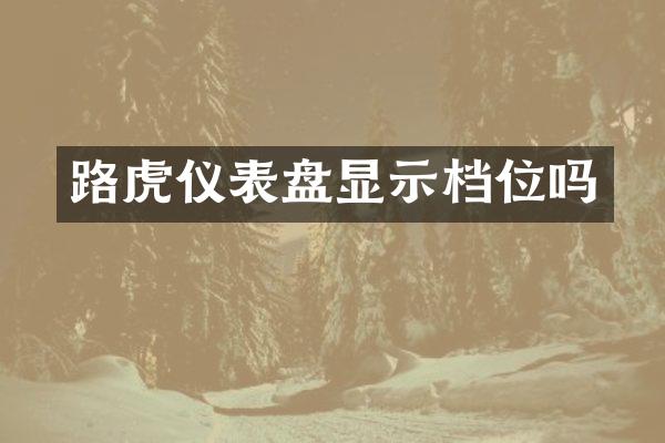 路虎仪表盘显示档位吗