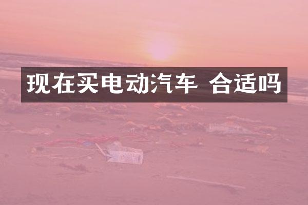 现在买电动汽车 合适吗