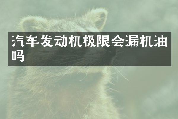 汽车发动机极限会漏机油吗