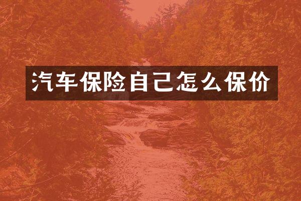 汽车保险自己怎么保价