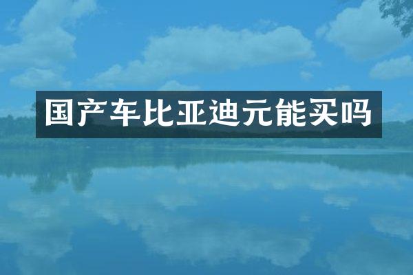 国产车比亚迪元能买吗