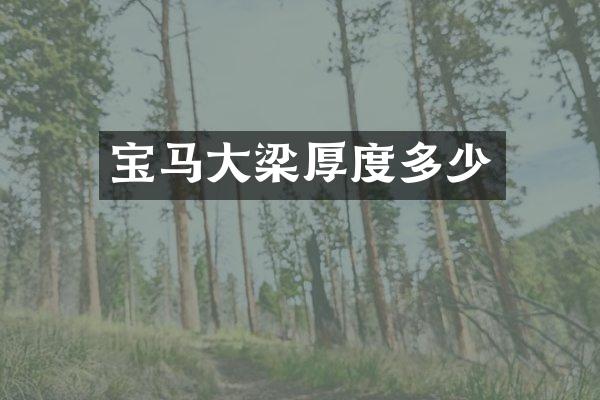 宝马大梁厚度多少